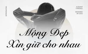 Phông chữ viết tay nét bút máy tiếng Việt  - SVN Snell Roundhand Script