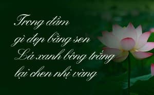 Font chữ làm con dấu Việt hóa miễn phí VNI KUN