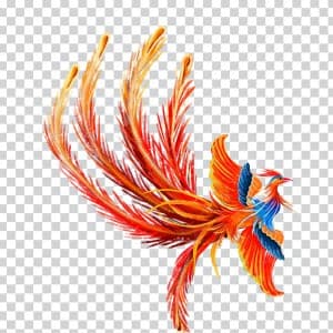 Hình ảnh con phượng hoàng file PNG mẫu số 119