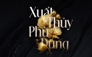 Font chữ thanh lịch, hiện đại, sang trọng dùng cho thiết kế thiệp cưới, thời trang, tạp chí, nước hoa DFVN Beautique Display
