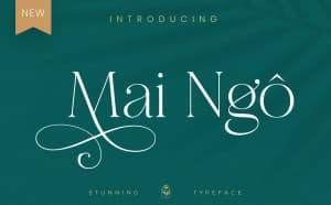 Font chữ việt hóa TH Maginia