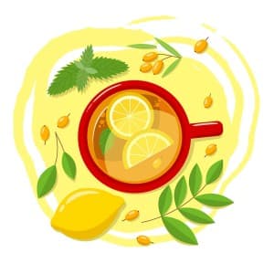 Hình minh họa cốc trà chanh file vector mẫu số 596