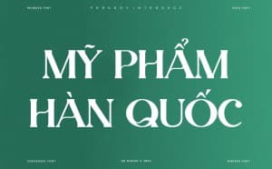 Phông chữ hiện đại, thanh lịch Việt hóa - TH Magista