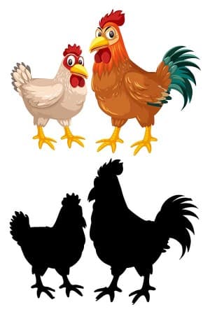 Hình minh họa con gà file vector mẫu số 827