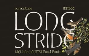 Font chữ sang trọng cho lĩnh vực thời trang, tạp trí hiện đại và thanh lịch SVN-Longstride