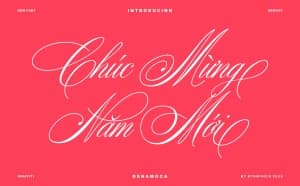 Phông chữ Bibliophile Script phong cách handwriting viết tay tự nhiên Việt hóa - Phông chữ miễn phí