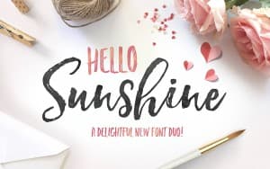 Font chữ viết tay, chữ ký mềm mại cho thiệp cưới, đám cưới SVN-Hello Sunshine