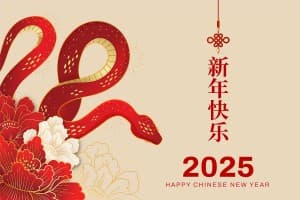 Banner tết năm con rắn file vector mẫu số 610