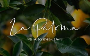 Font chữ viết tay mềm mại cho thiệp cưới, lễ cưới, chữ ký SVN-La Paloma