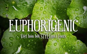 Font chữ sang trọng, hiện đại, thanh lịch cho lễ cưới, tạp chí, thời trang SVN-Euphorigenic