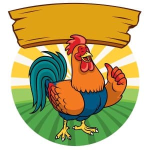 Hình ảnh chú gà đực file vector mẫu PM651