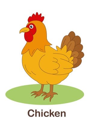 Hình ảnh chú gà mái file vector mẫu PM683