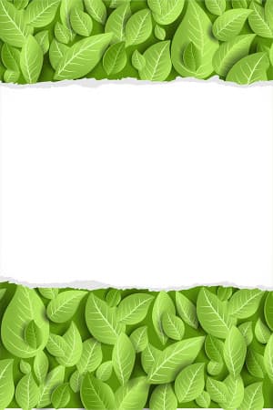 Background trái đất xanh file EPS và AI mẫu 209