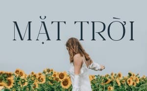 Font chữ thanh lịch Việt hóa MTD Feliz en Vista