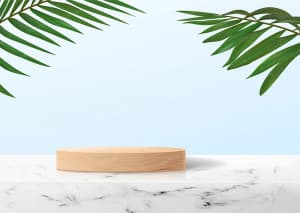 Background bục gỗ trưng bày sản phẩm nền trắng file EPS