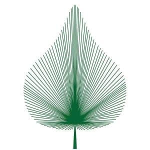 Hình minh họa lá bồ đề xanh file vector mẫu số 921