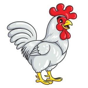 Hình ảnh chú gà đực file vector mẫu PM684
